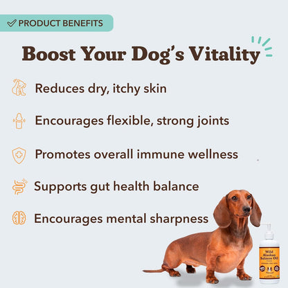 Wild Alaskan Salmon Oil Formula